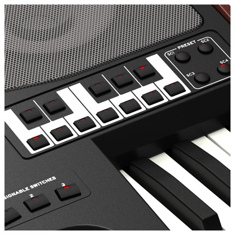 KORG PA700-OR Oriental Arranger Keyboard