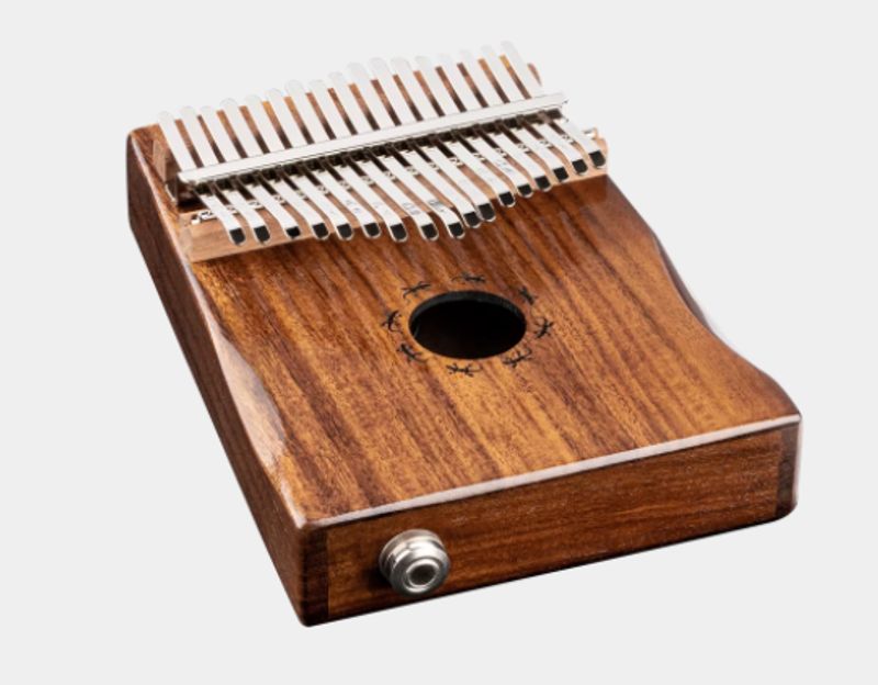 Ortega OKB1E Solid Acacia m/pickup