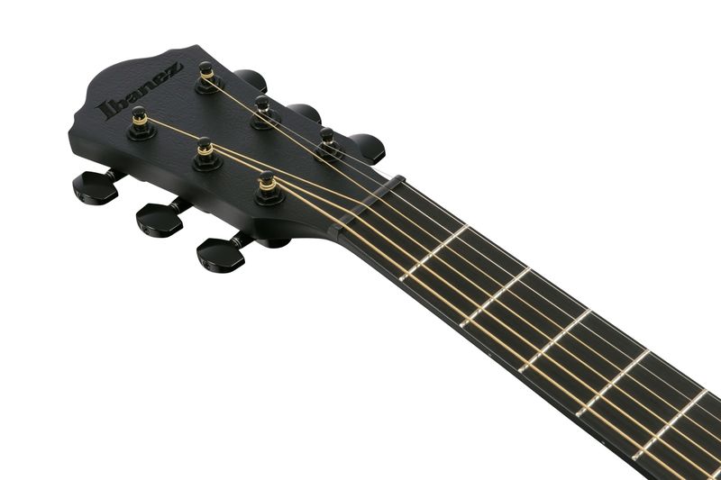 Ibanez AEWC621-BOT Western gitar med mik