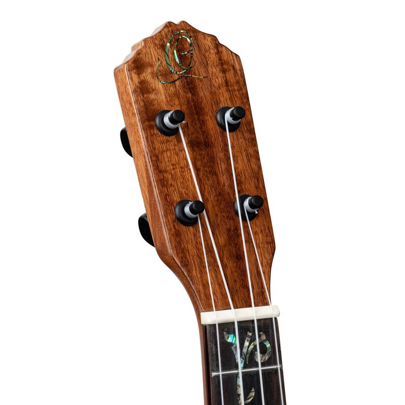 Ortega RUET-ACA Concert ukulele m.mik, o gigbag, Elite, Acacia