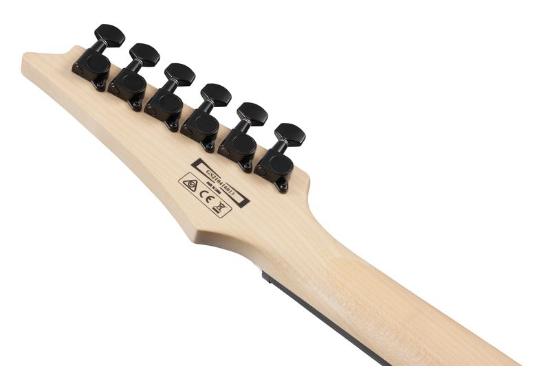 Ibanez GRG120QASP-BGD Elgitar, GIO GRG