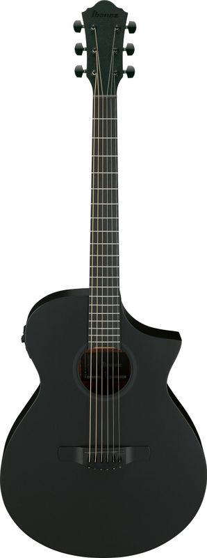 Ibanez AEWC621-BOT Western gitar med mik