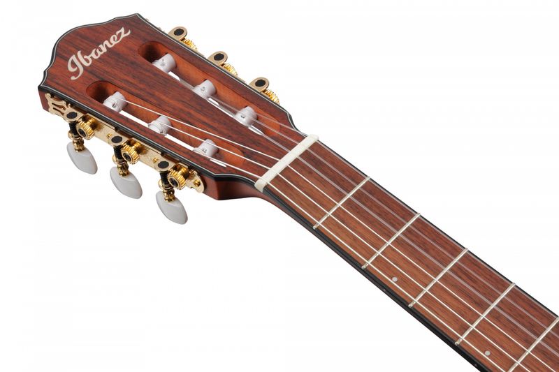 Ibanez FRH10N-RGF Nylonsträngad m.mik, Thin body