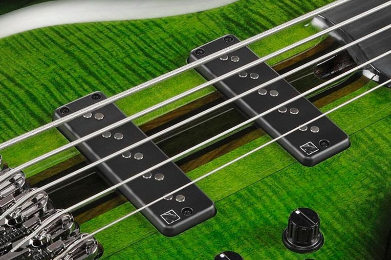 Ibanez SDGB1-DMT Elbas, Steve Di Giorgo Signatur (Testament) 5-str. Fretless