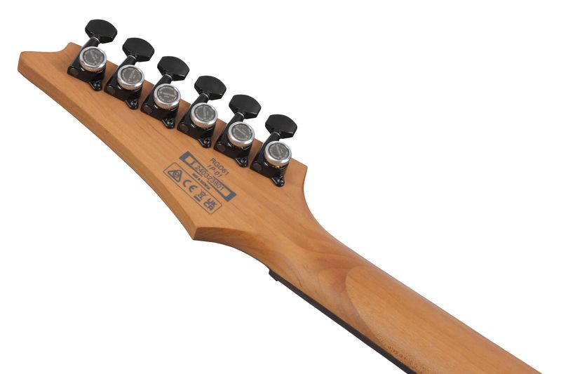 Ibanez RGD61-BAM Elgitar, RGD