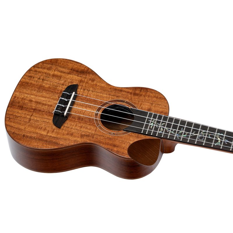 Ortega RUET-ACA Concert ukulele m.mik, o gigbag, Elite, Acacia