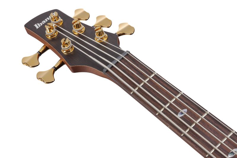 Ibanez SR6605-GFB Elbas med Hardcase, Prestige 5-str.