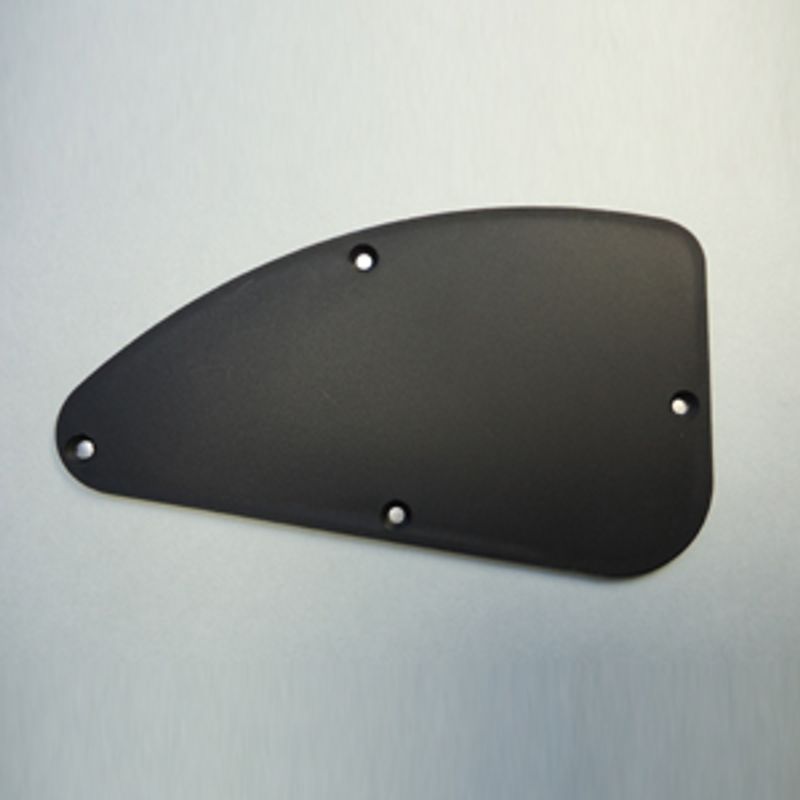 Ibanez 4PTX5A0008 Backplate kontroll RG non-trem