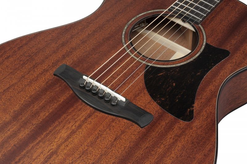 Ibanez AAM740E-LG Western gitar m.mik. & case, Advanced Auditorium