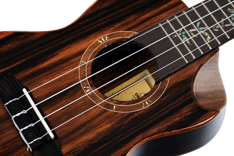 Ortega RUET-EB Concert ukulele m.mik, o gigbag, Elite, Ebony