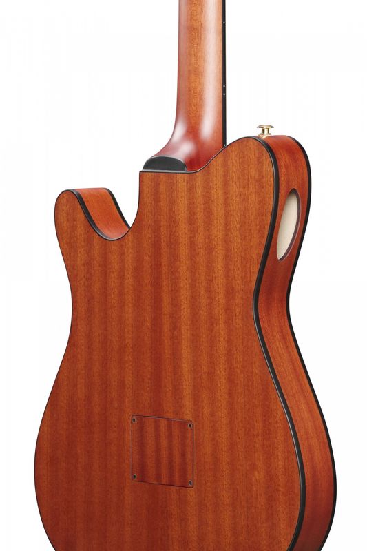Ibanez FRH10N-RGF Nylonsträngad m.mik, Thin body