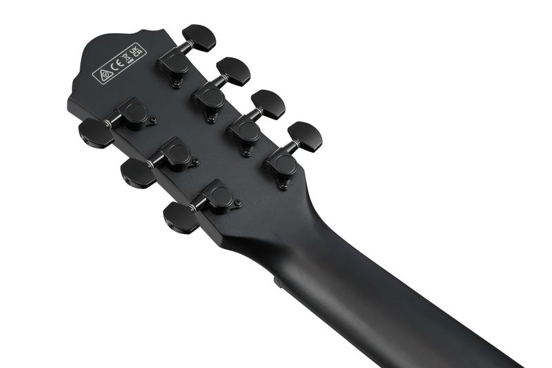 Ibanez AEG721-BOT Westerngitar m.mik, 7-strängad