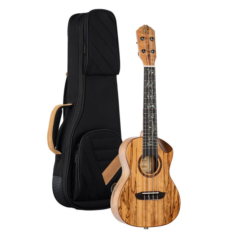 Ortega RUET-SMA Concert ukulele m.mik, o gigbag, Elite, Spalted Maple