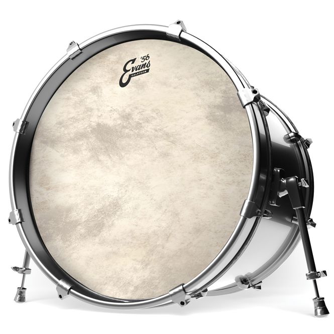 Hovedbilde Evans BD24CT 24'' Bastrumskinn Calftone