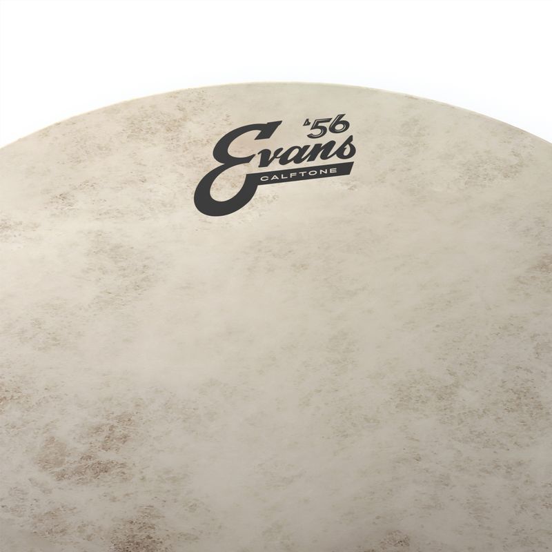 Evans TT18C7 18'' Pukskinn Calftone