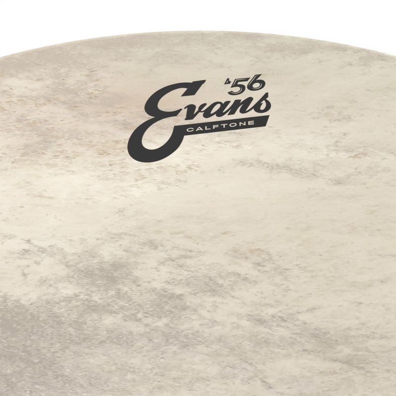 Evans BD16CT 16'' Bastrumskinn Calftone