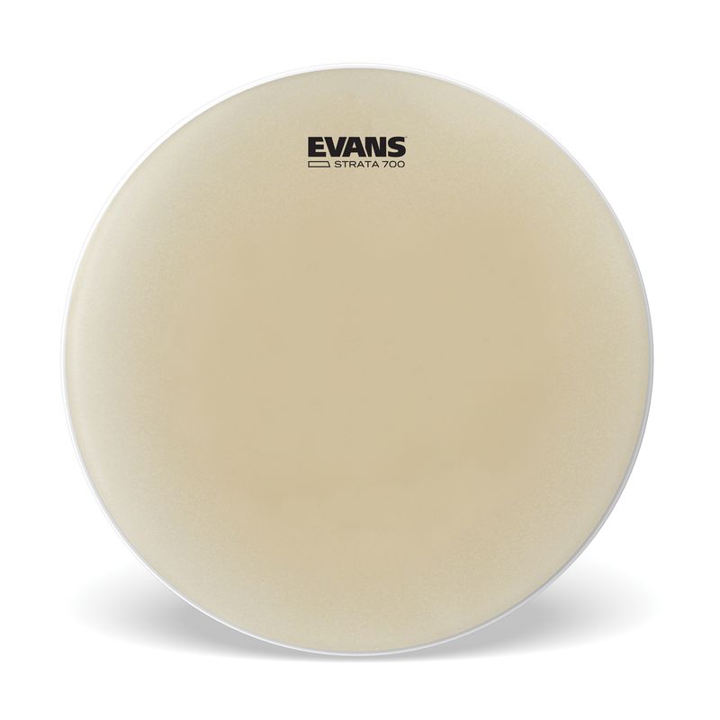 Evans CS14S Strata Head 14''