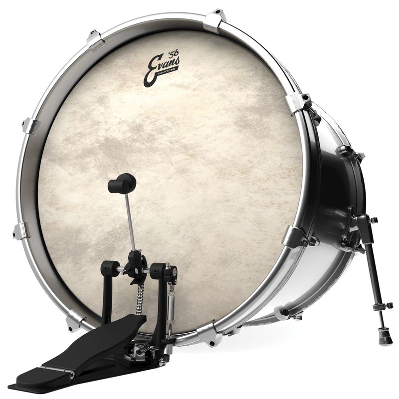 Evans BD16CT 16'' Bastrumskinn Calftone