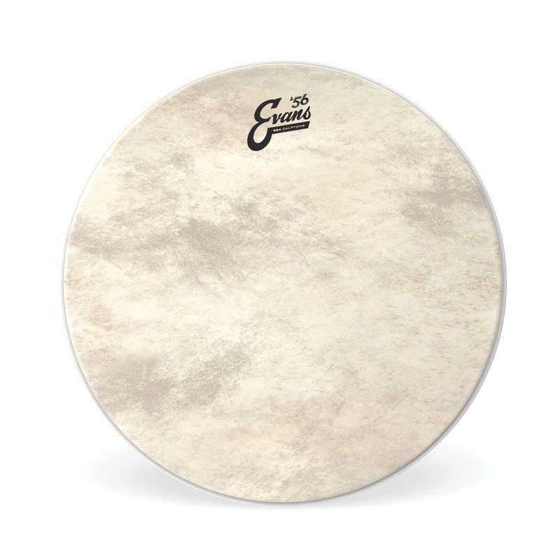 Evans TT16GB4CT 16'' BD/Pukskinn EQ4 Calftone