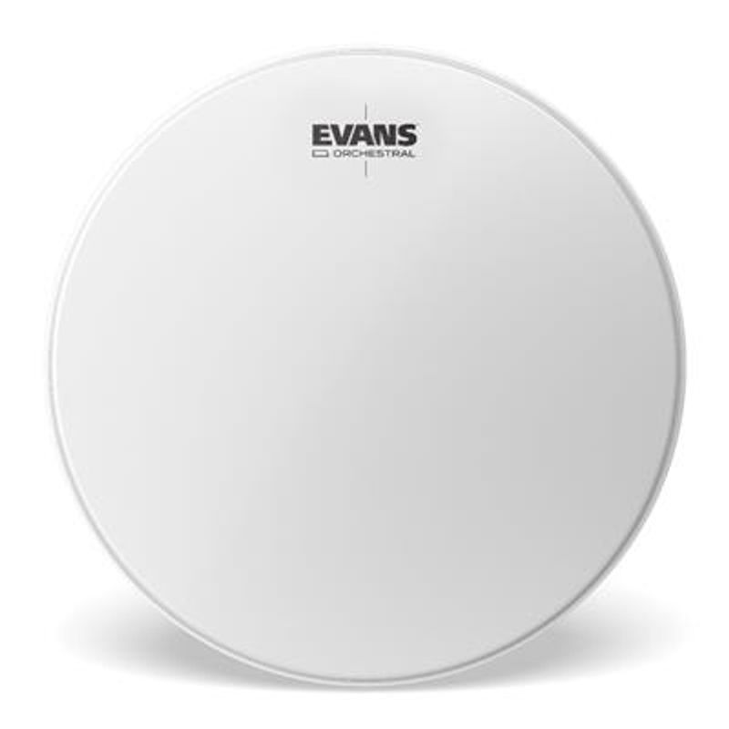 Evans ET3050 Timpani Head 3050''