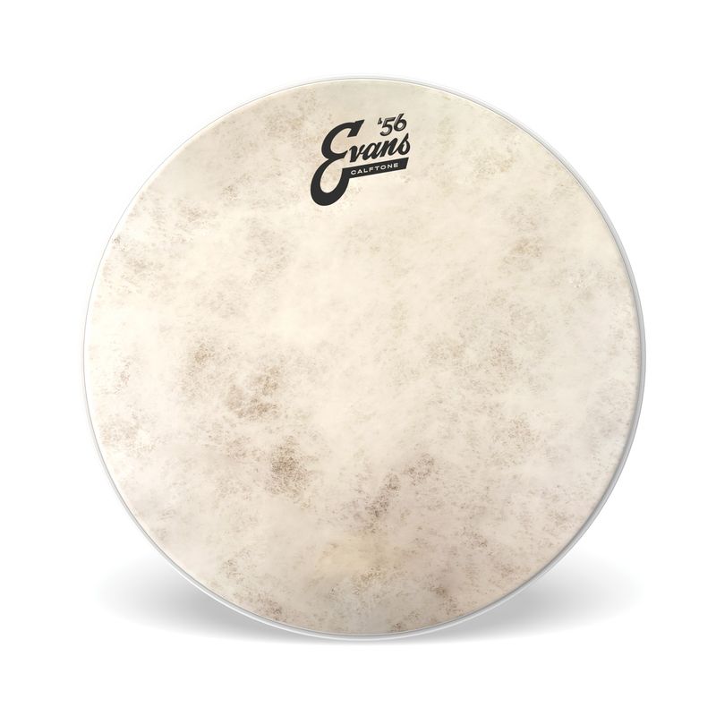 Evans TT12C7 12'' Pukskinn Calftone