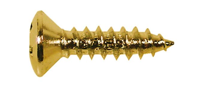 Hovedbilde Boston TS-01-G Screw 3x12 mm (12-p)