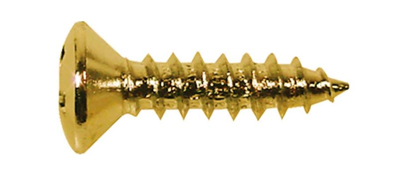 Boston TS-01-G Screw 3x12 mm (12-p)