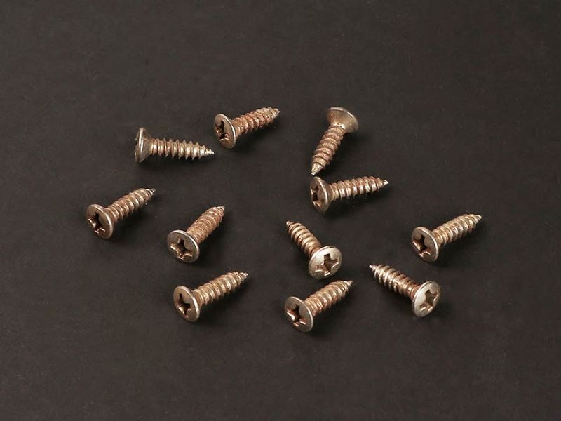 Boston TS-01-N/REL Master Relic Series Screw (12-p)