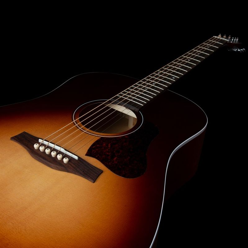 Seagull Entourage Autumn Burst Presys II Guitar