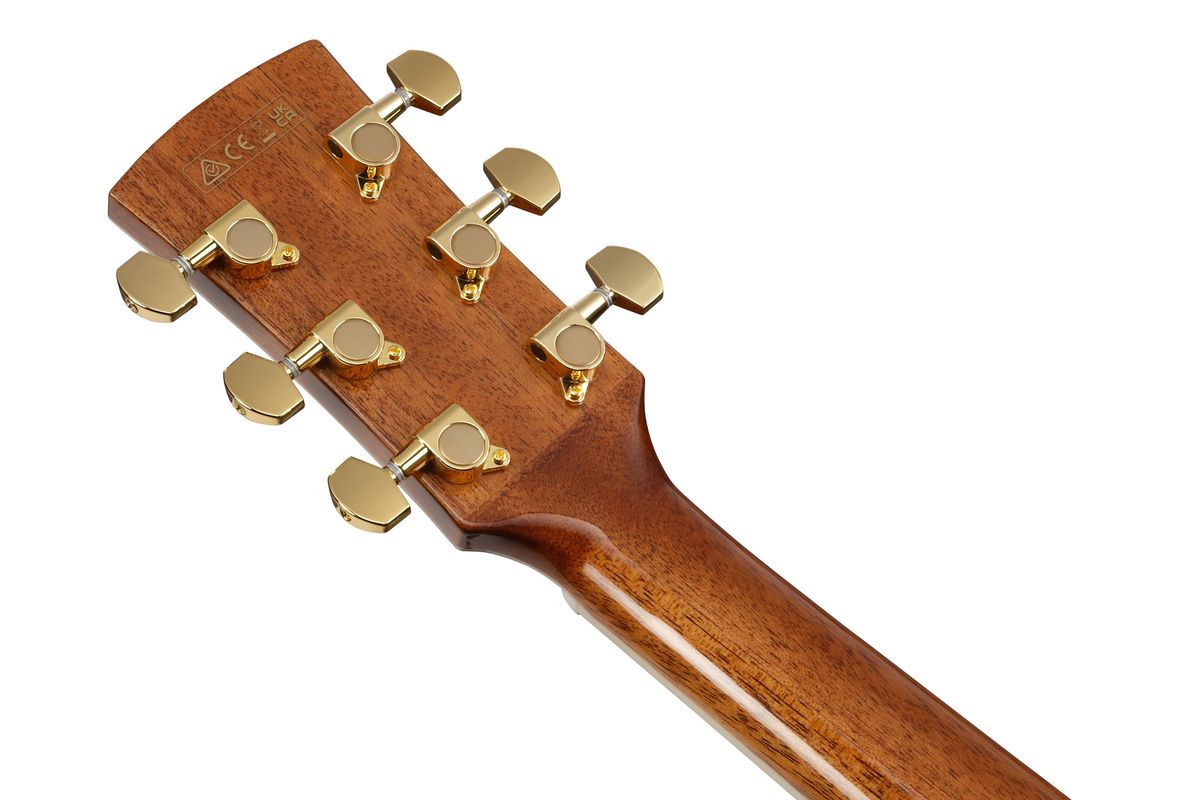 Ibanez AW391RCE-BKH Westerngitar m.mik