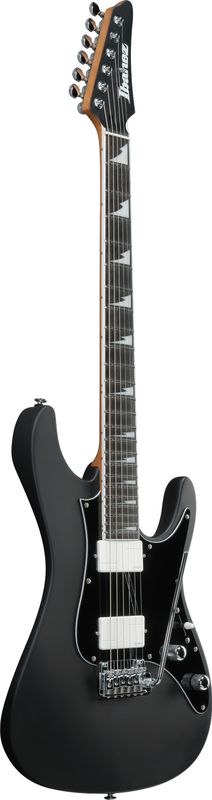 Ibanez BER10 Elgitar med gigbag,  Bernth Signatur