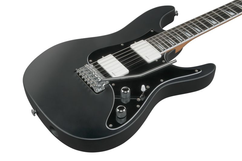 Ibanez BER10 Elgitar med gigbag,  Bernth Signatur