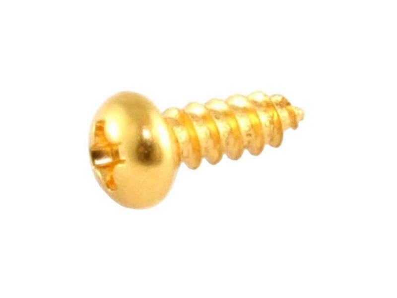 Allparts Trussrod Cover Screws Gold 8-p