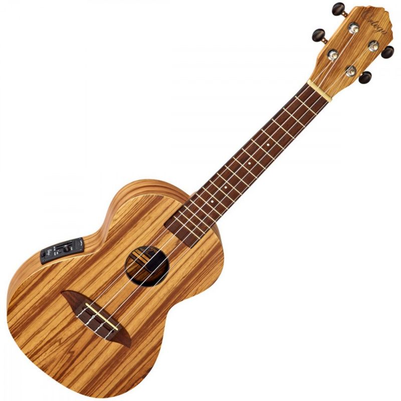 Ortega RFU11ZE Concert Ukulele m/bag
