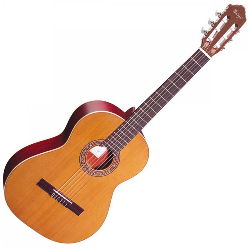 Ortega R200SN Natural m/bag