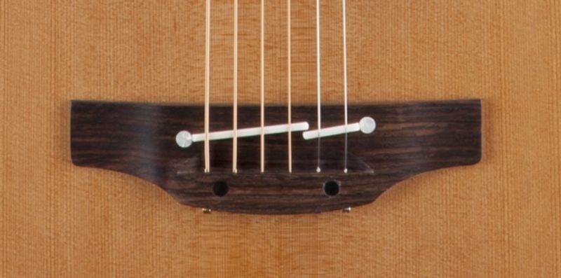 Takamine P3NC