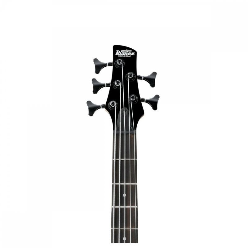 Ibanez GSR205SM-NGT Natural Grey Burst