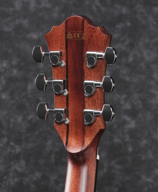Ibanez AE325-LGS Low Gloss Finish