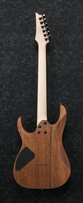 Ibanez RG421-MOL