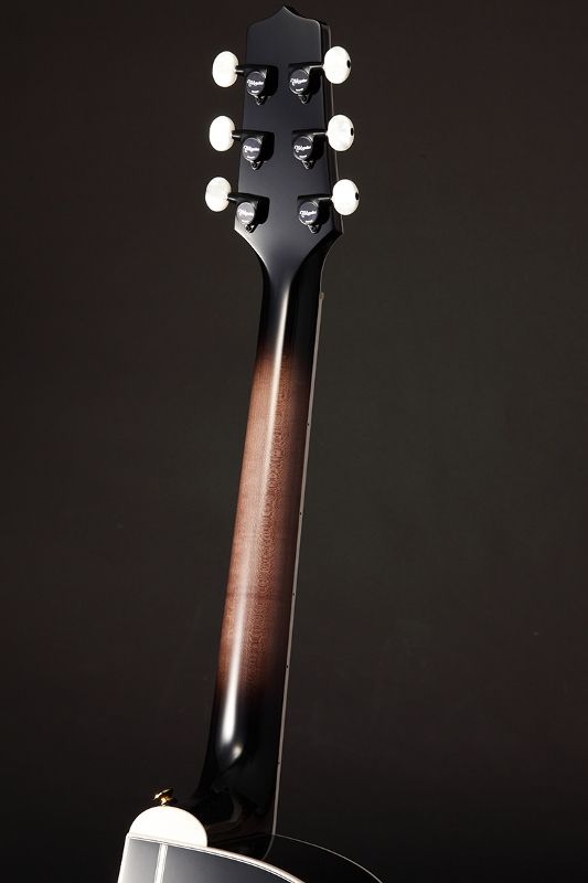 Takamine EF450C-TT-TBB
