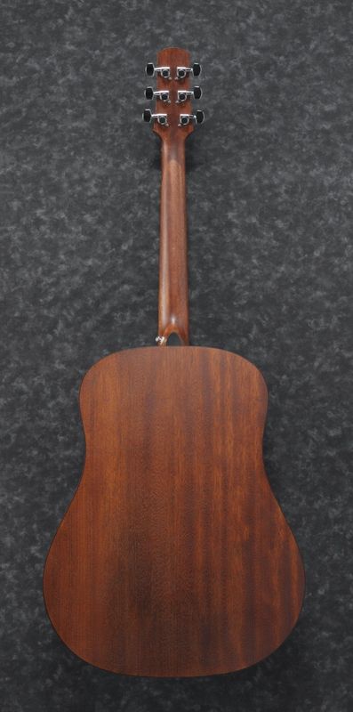 Ibanez AAD100-OPN Open Pore Natural