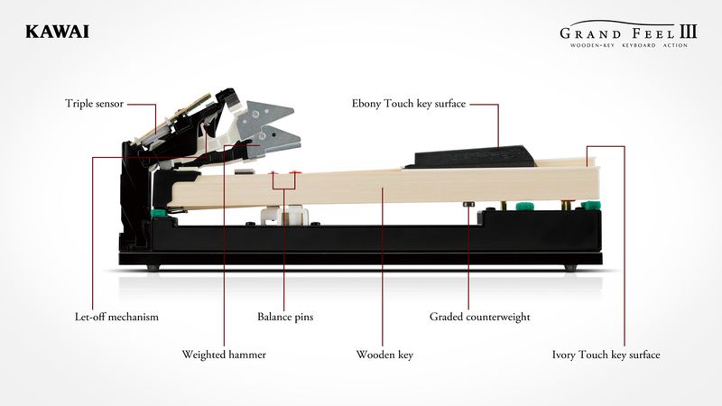 KAWAI CA 901 EP Sort Høyglans
