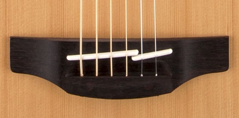 Takamine GD20-NS