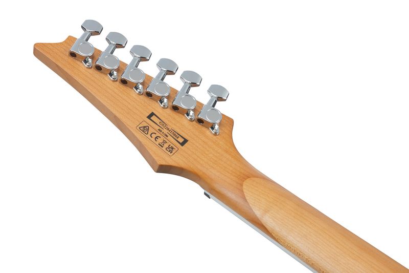 Ibanez GRG220PA1-BKB Elgitar
