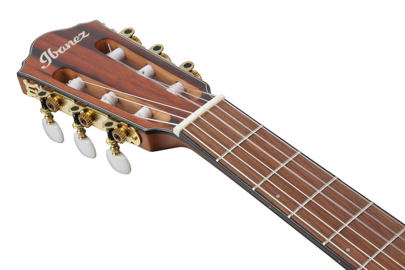 Ibanez FRH10N-BSF Thin body Brown Sunburst